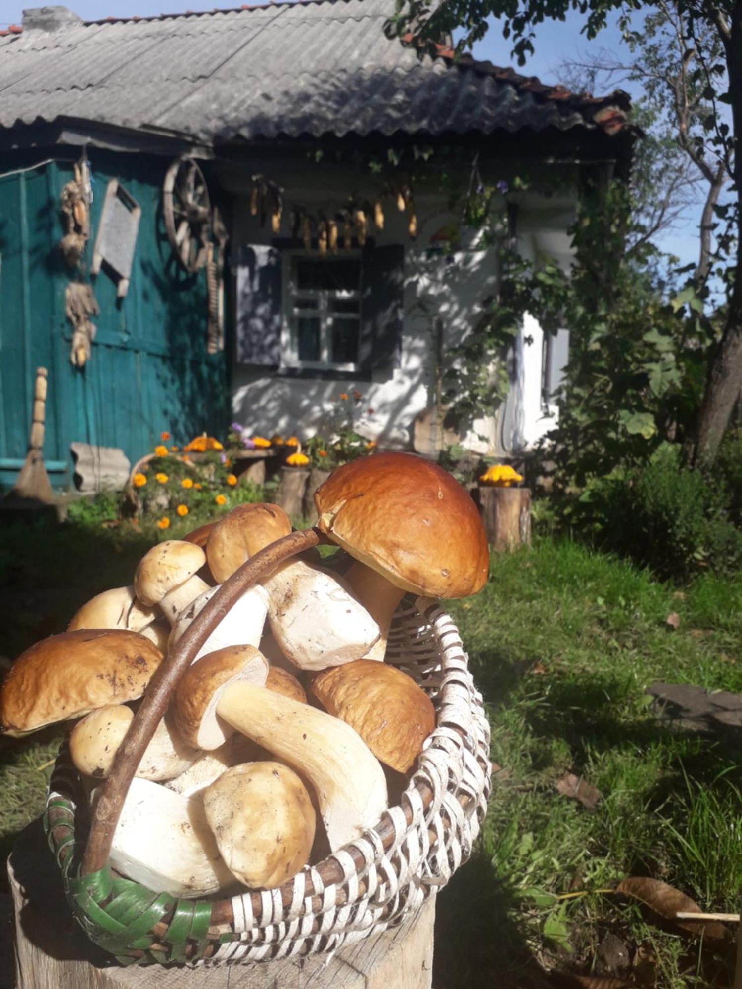 Медова Садиба Subbotiv Zimmer foto